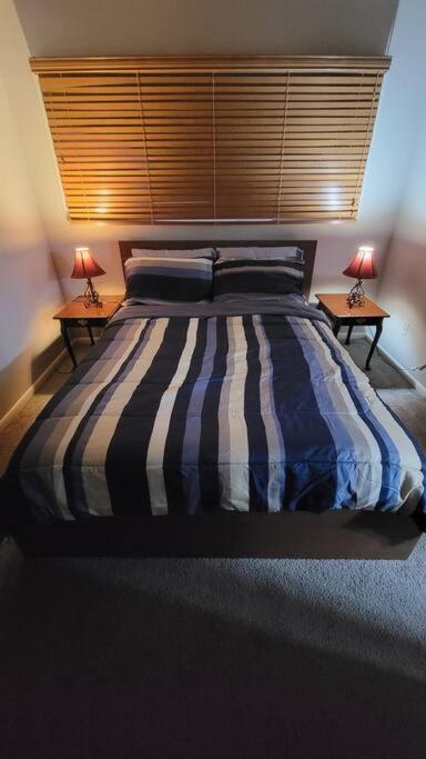 Entire One Bedroom Apartment Annandale Buitenkant foto