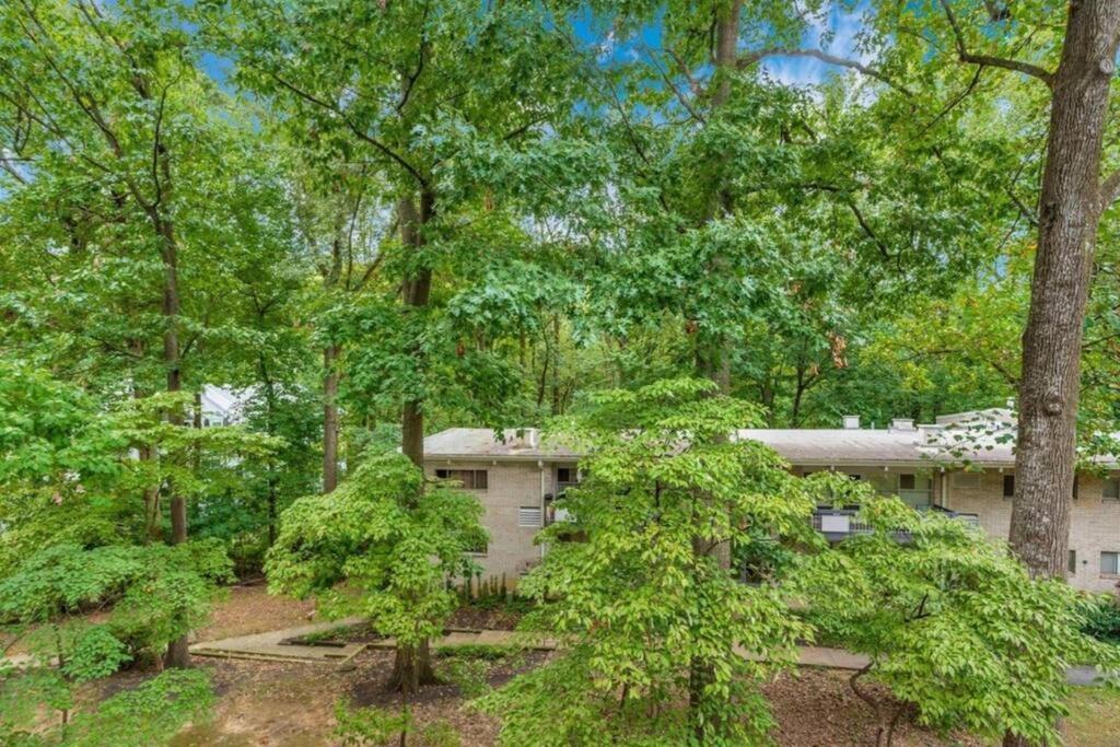Entire One Bedroom Apartment Annandale Buitenkant foto