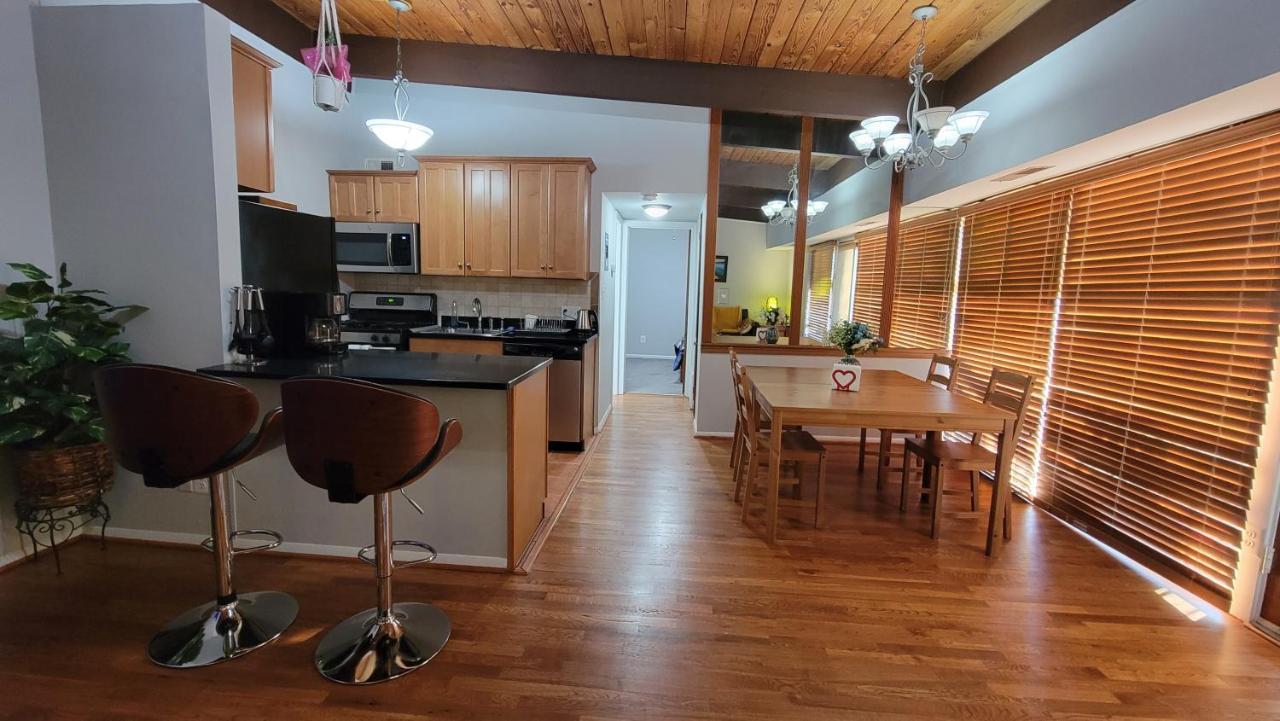 Entire One Bedroom Apartment Annandale Buitenkant foto