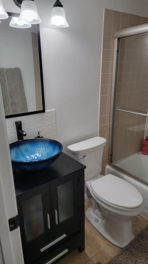 Entire One Bedroom Apartment Annandale Buitenkant foto